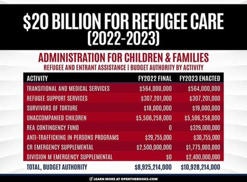 feds spent 20 billion on migrant refugee assistance