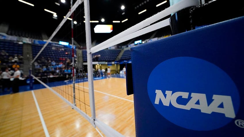 NCAA volleyball net