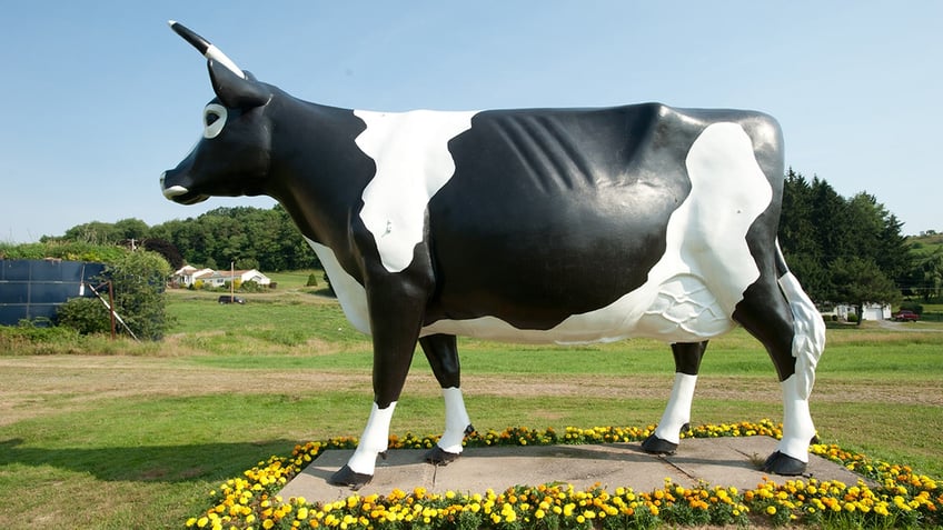 fiberglass cow