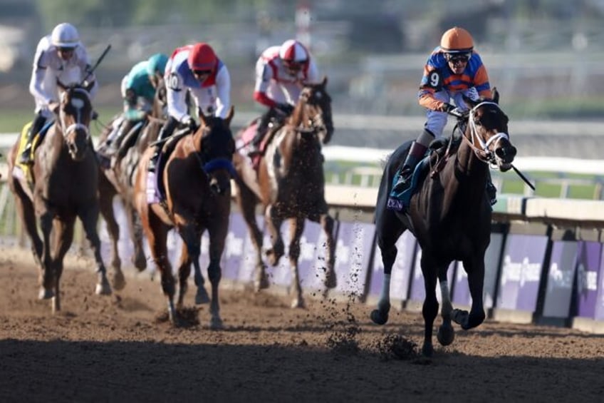 fierceness roars to breeders cup juvenile victory