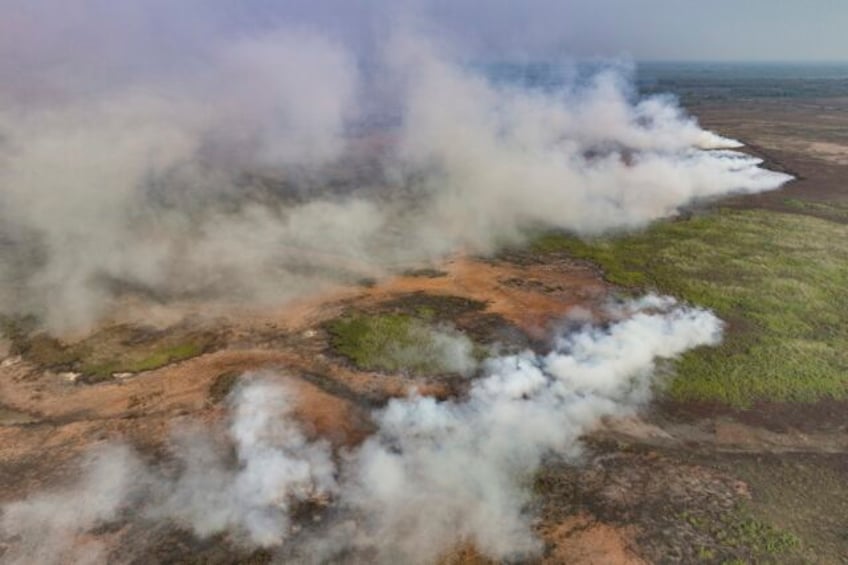 fires in brazil threaten jaguars houses and plants in the worlds largest tropical wetlands