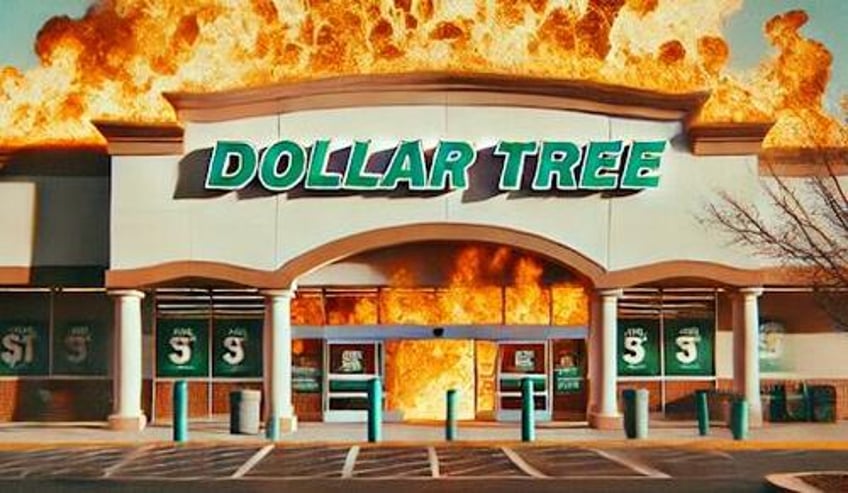 first dollar general now dollar tree shares plunge as both discount retailers warn of core customer under pressure 