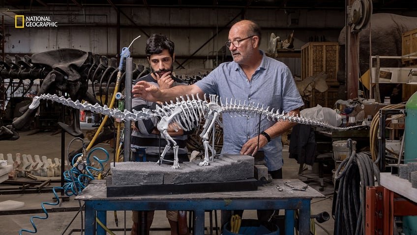 experts study a model of a Diplodocus