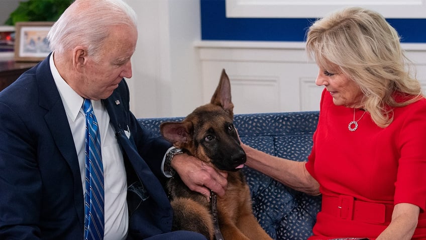 first pooch commander biden in the dog house as trainers call for his muzzling