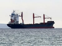 First Shipment Of Gaza Aid For US-Built Pier Departs Cyprus, UN Claims 