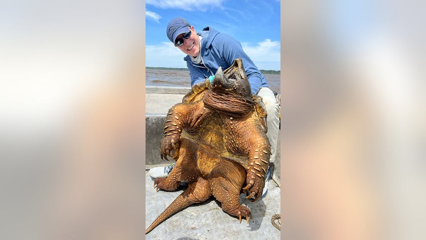 Art-Weston-showing-off-alligator-snapping-turtle