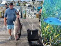 Fisherman lands enormous 56-pound almaco jack, breaking state record