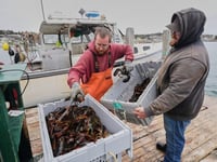 Fishermen battling with changing oceans chart new course after Trump’s push to deregulate