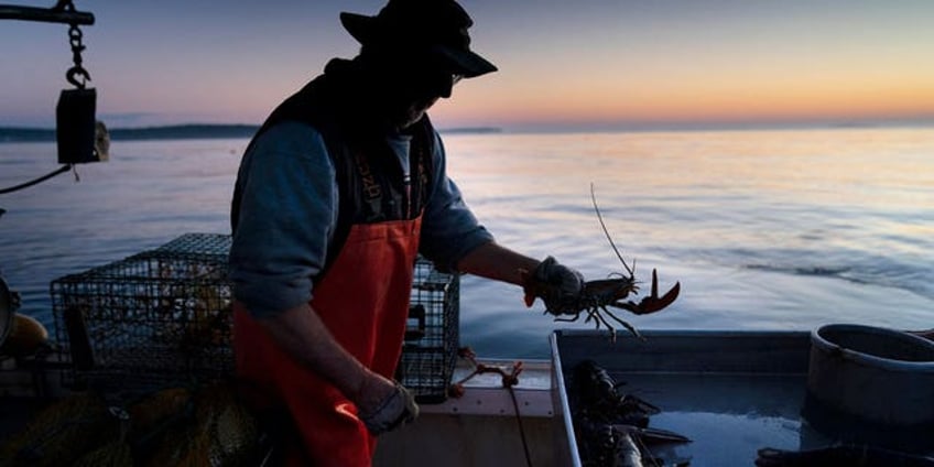 fishermen slam biden admins offshore wind push as threat to jobs sea life