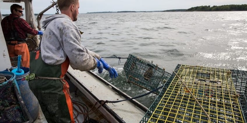 fishermen slam biden admins offshore wind push as threat to jobs sea life