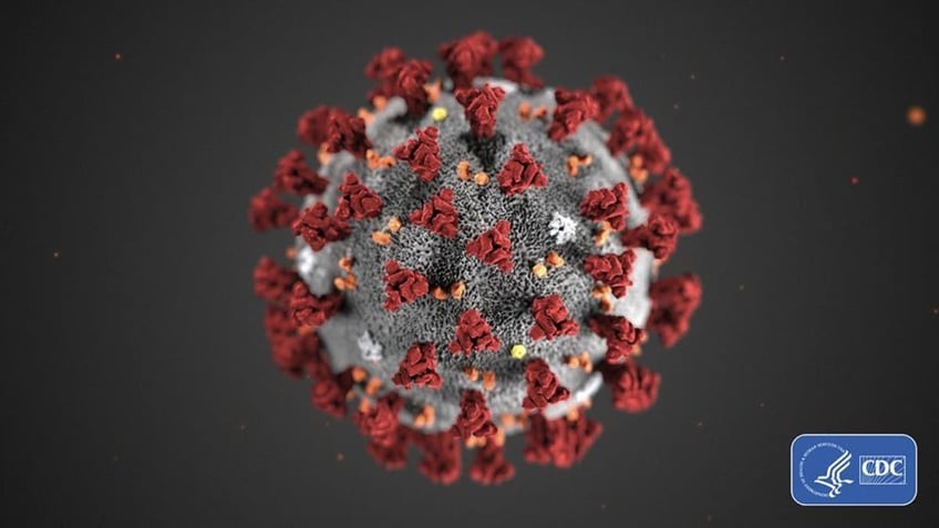 coronavirus