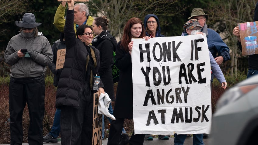 Musk protesters