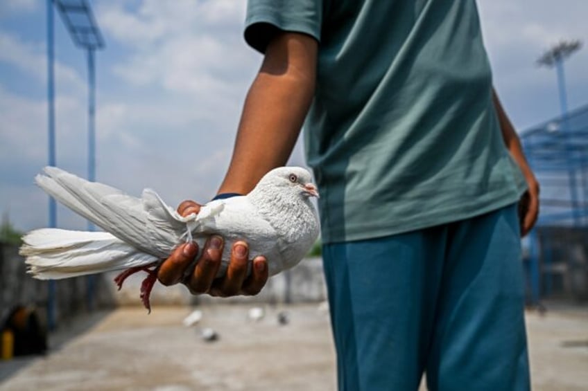 Pigeon fanciers across the India-Pakistan divide can't meet face-to-face, but share the sa
