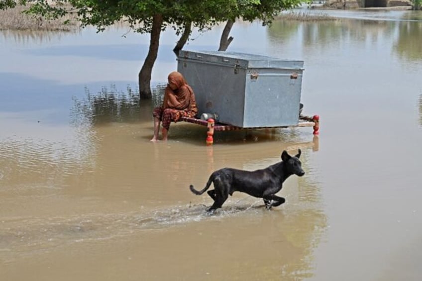 floods drown hope in pakistans impoverished punjab villages