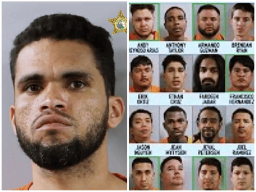 florida 35 illegal aliens among 219 arrested in human trafficking sting