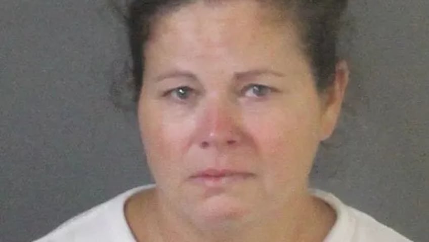florida babysitter arrested after 10 month old infant dies while left in hot car