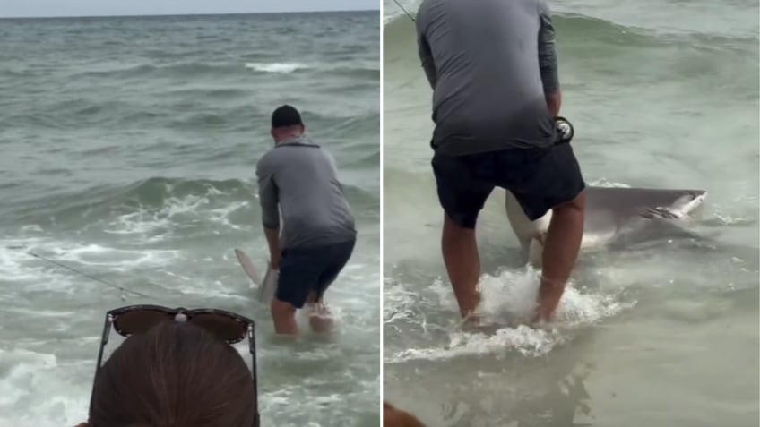 Fisherman reeling in shark