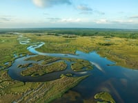 Florida building 'Alligator Alcatraz' where ICE detainees face nature's own security system