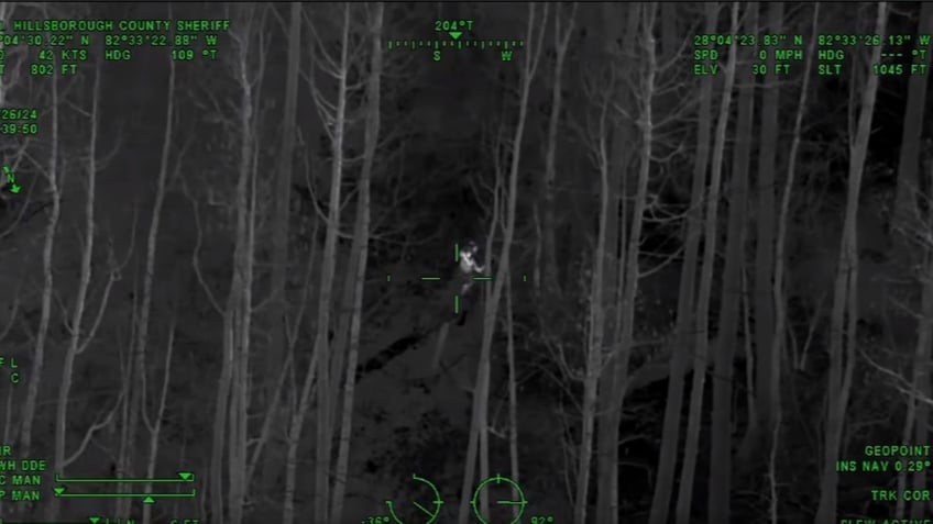 Aerial shot of girl walking through woods