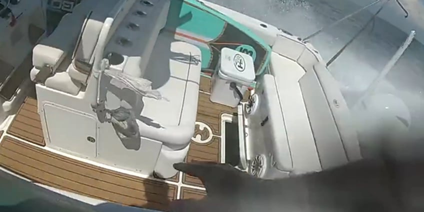 florida deputy leaps onto runaway boat to stop it after driver falls off video shows