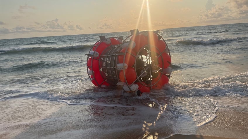 florida man arrested by coast guard for trying to cross atlantic in human sized hamster wheel