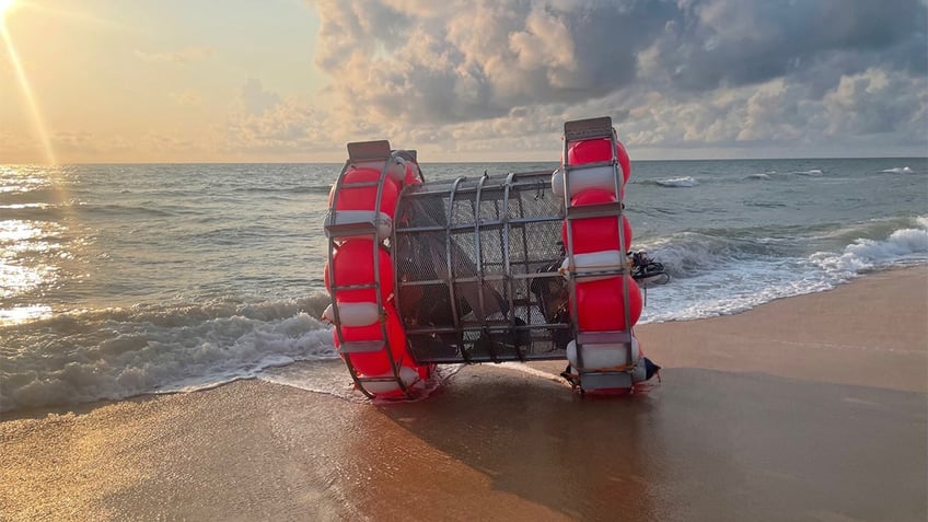 florida man arrested by coast guard for trying to cross atlantic in human sized hamster wheel