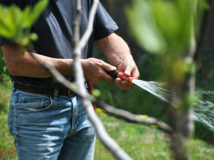 florida man arrested for allegedly spraying woman with garden hose