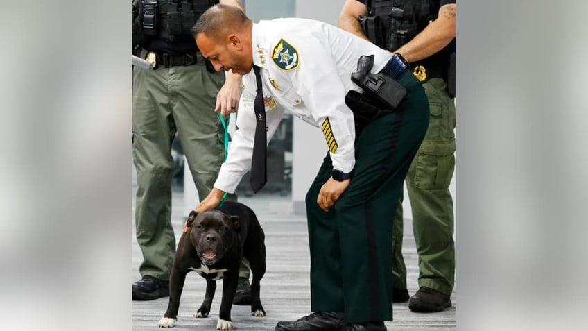 Police Chief Carmine Marceno petting Louie