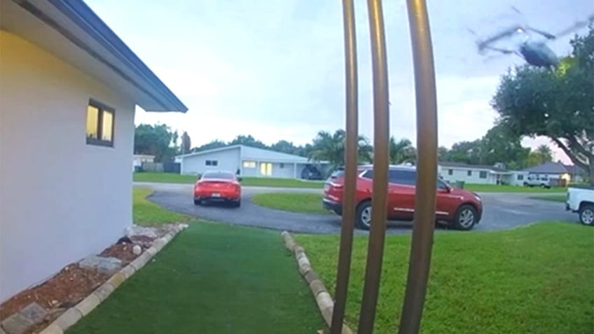 Small plane crashes in Florida
