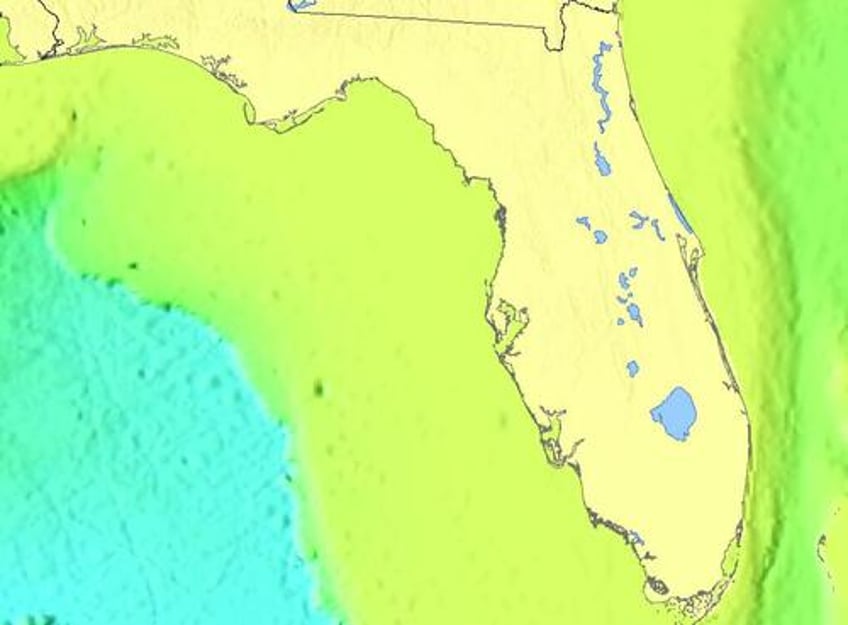 florida states novel civics program