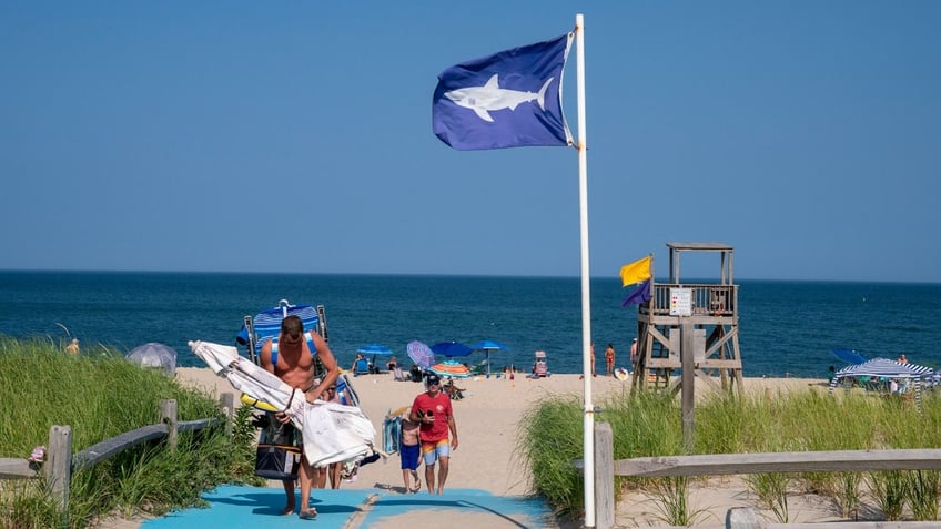 A flag with a shark warning flies over a Massachusetts beach