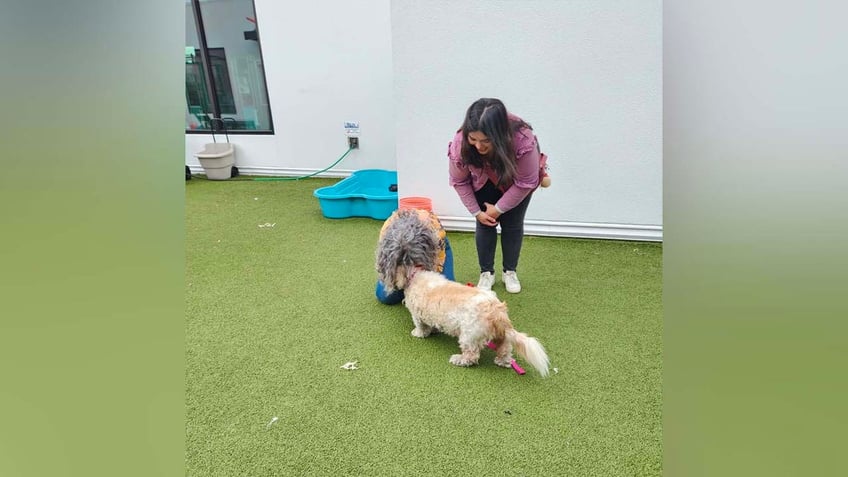 WOMAN HUGGING DOG 