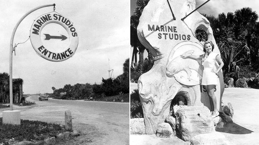 Marineland opened as Marine Studios in 1938 in Florida