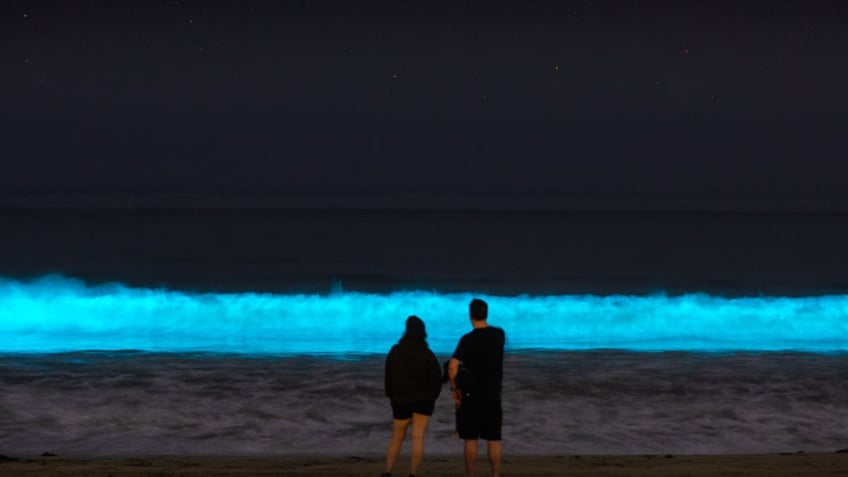 Bioluminescent waves glow off Hermosa Beach, California