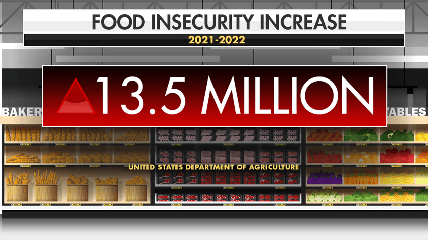 food banks struggle as more people face food insecurity