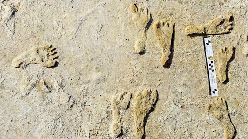 footprints found at ancient lake in new mexico challenge old belief of first humans in americas