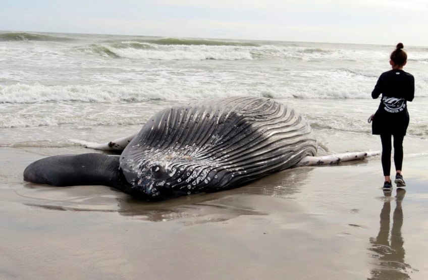 foreign firm to begin offshore wind farm construction at nj state park as public support collapses