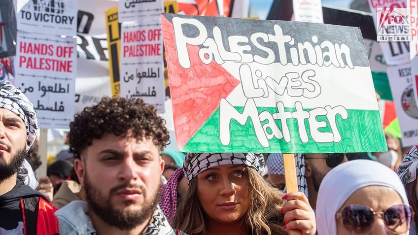 Pro-Palestine protestors in DC