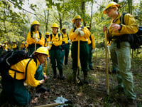 Forest and park service worker cuts leave wildland firefighting crews short-staffed