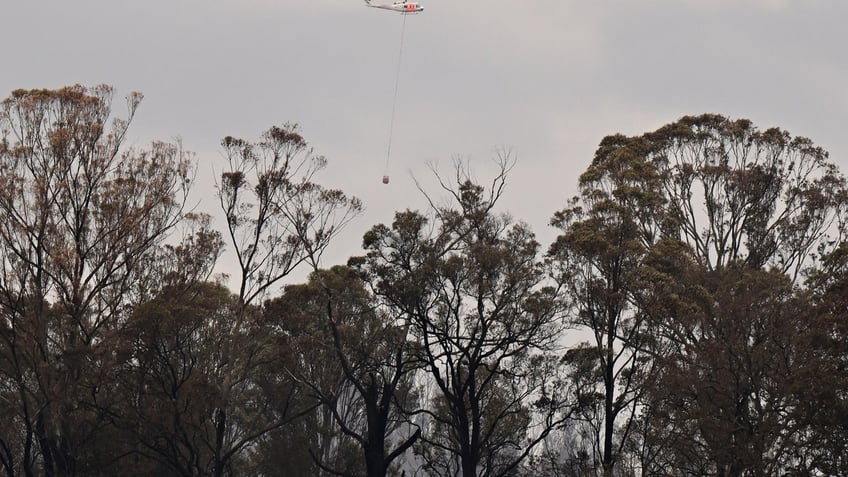 forest fire devastates 3 residences in southeastern australia injuring man struck by falling tree