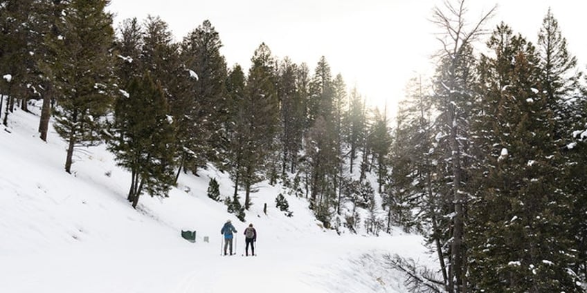 forest service rejects expansion of lutsen mountains a midwestern skiing hotspot