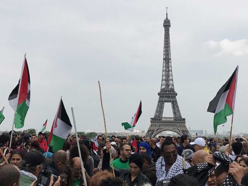 Protest in Paris against Israeli massacre in Gaza