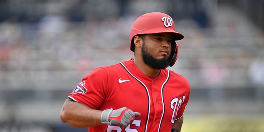 former mlb player sprints into stands at independent league game to confront heckling fan