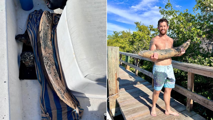 Split image of tusk close-up and Lundberg holding tusk