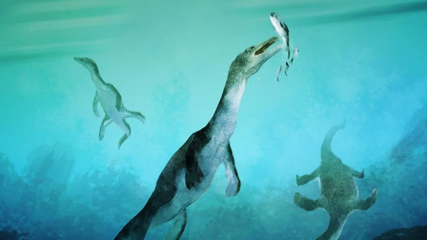 Artists depiction of a nothosaur