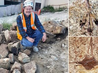 Fossils dating back 9 million years unearthed during construction at high school