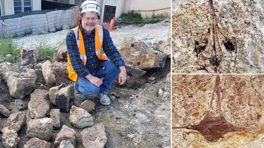 Dr. Wayne Bischoff with fossils, close-up photos of fossils 