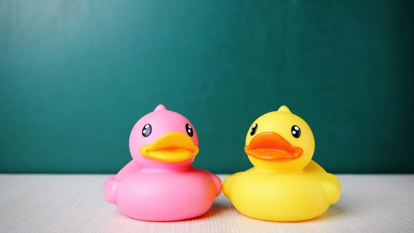 A pink and yellow rubber duck