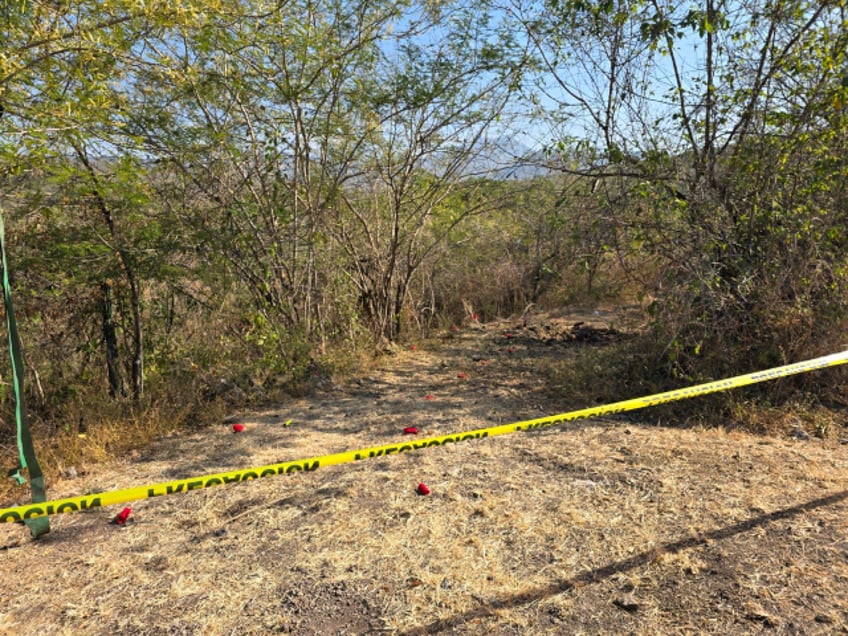 four mexican soldiers killed by cartel improvised explosive devices in michoacan
