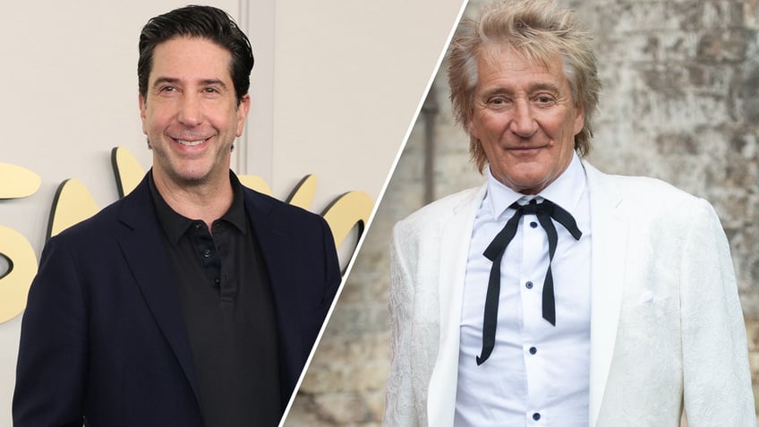 David Schwimmer and Rod Stewart split